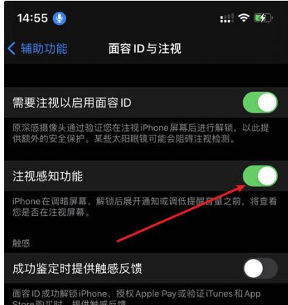 桥东苹果14维修网点分享iPhone14注视感知功能有什么用 